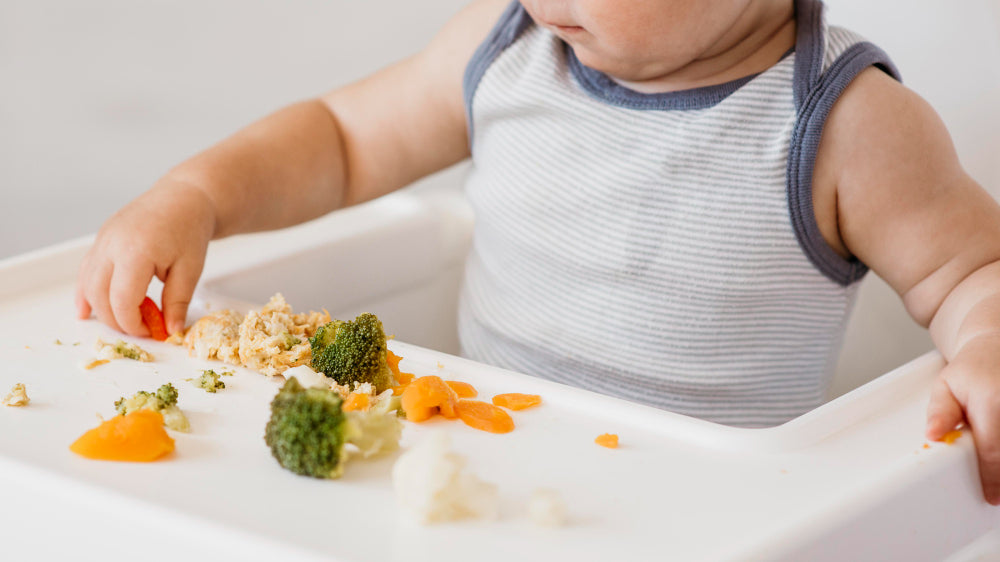 Essential Nutrients for Your Baby and How to Prepare Healthy Meals