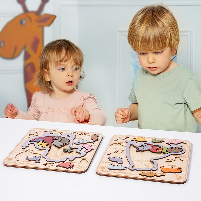 Wooden Dinosaur Brain Matching Stereo Puzzle