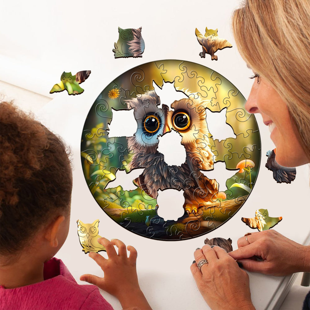 Kids Early Learning Wooden Owl Puzzle