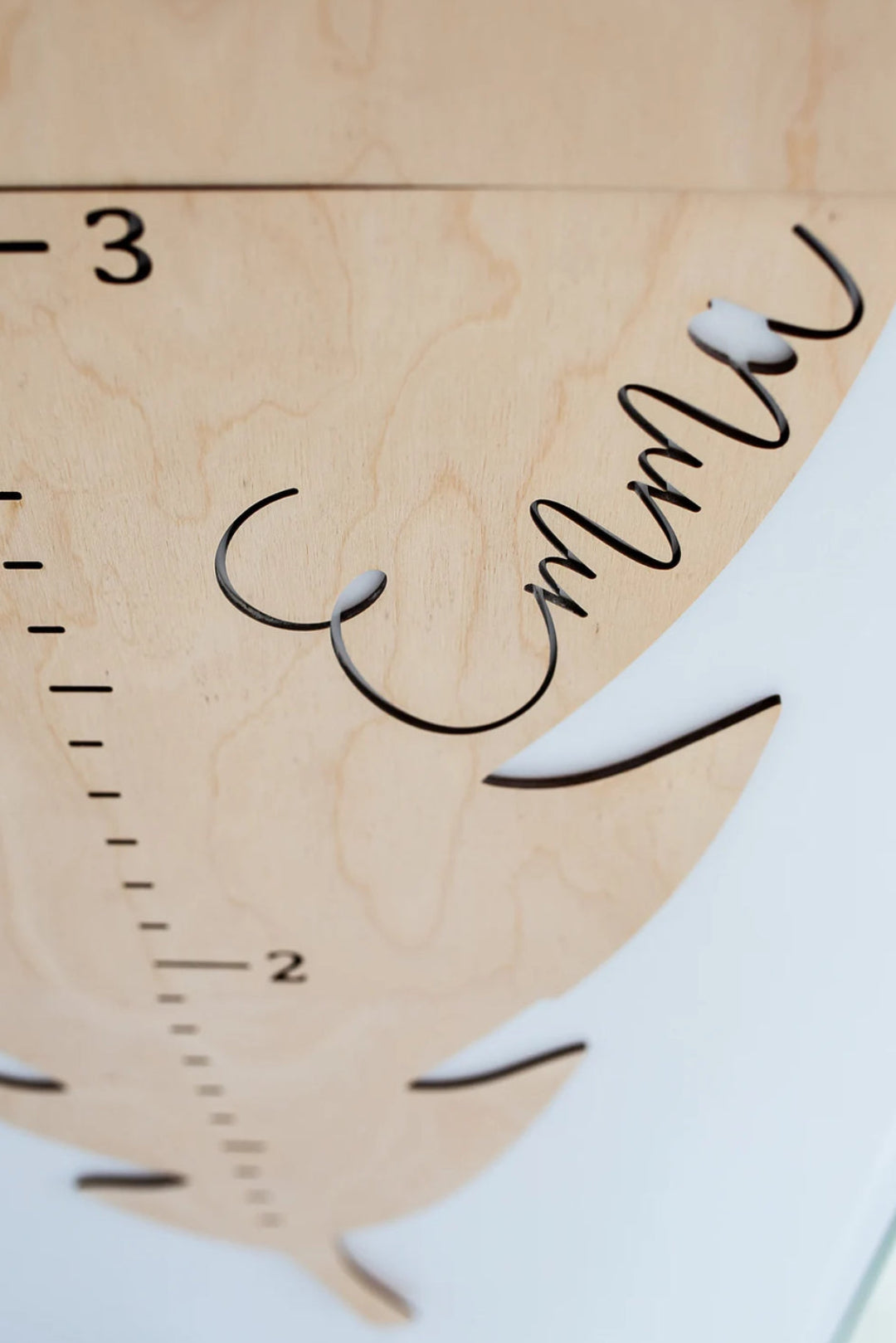 Personalized Wooden Feather Growth Chart (2)