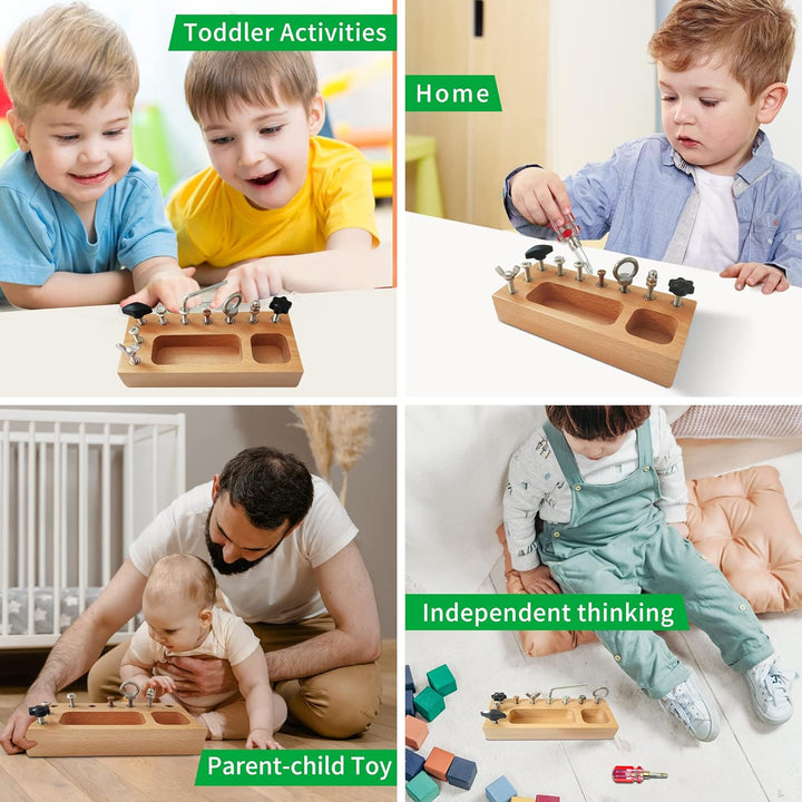 Montessori Screw Driver Board