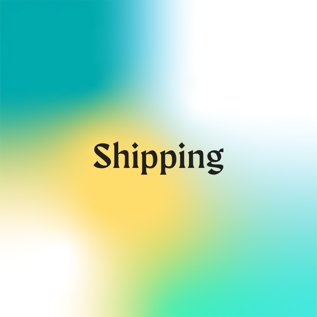 Pay Shipping 10